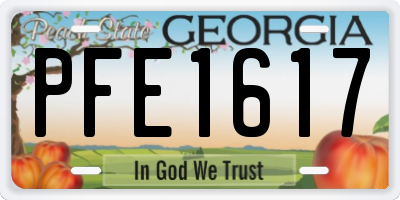 GA license plate PFE1617