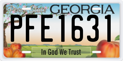 GA license plate PFE1631