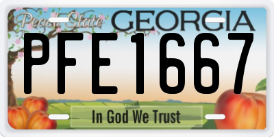 GA license plate PFE1667