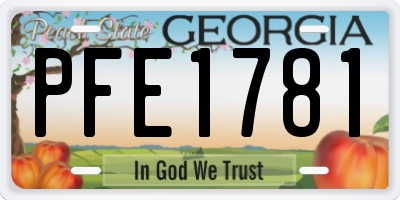 GA license plate PFE1781