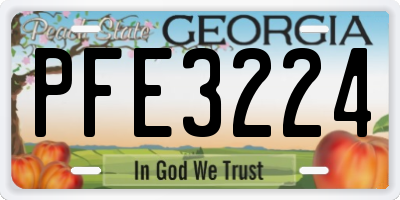 GA license plate PFE3224