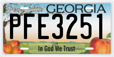 GA license plate PFE3251