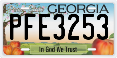 GA license plate PFE3253