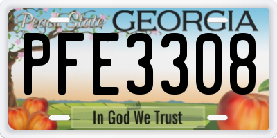 GA license plate PFE3308
