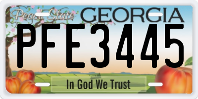 GA license plate PFE3445