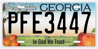 GA license plate PFE3447
