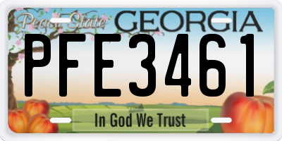 GA license plate PFE3461