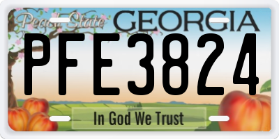 GA license plate PFE3824