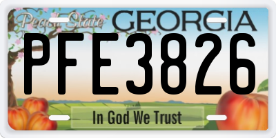 GA license plate PFE3826