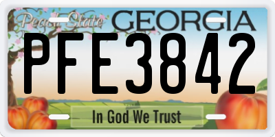 GA license plate PFE3842