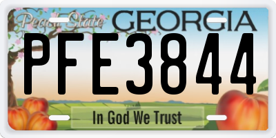 GA license plate PFE3844