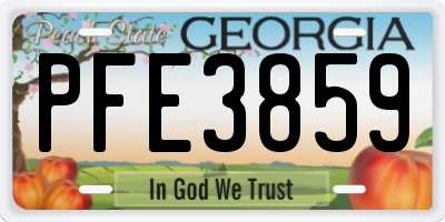 GA license plate PFE3859