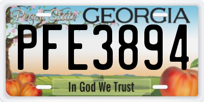 GA license plate PFE3894