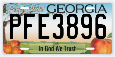 GA license plate PFE3896