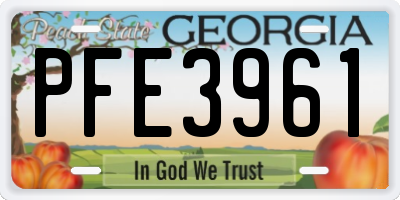 GA license plate PFE3961