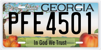 GA license plate PFE4501