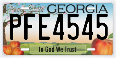 GA license plate PFE4545