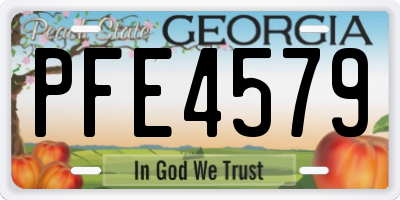 GA license plate PFE4579