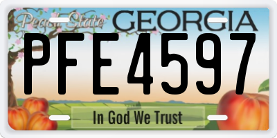 GA license plate PFE4597