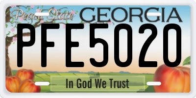 GA license plate PFE5020