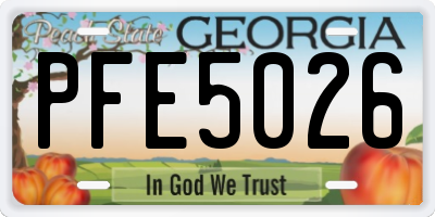 GA license plate PFE5026
