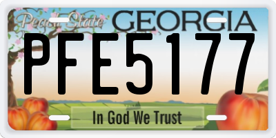 GA license plate PFE5177