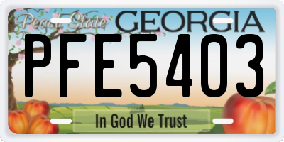 GA license plate PFE5403