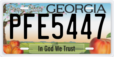 GA license plate PFE5447