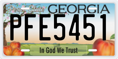 GA license plate PFE5451