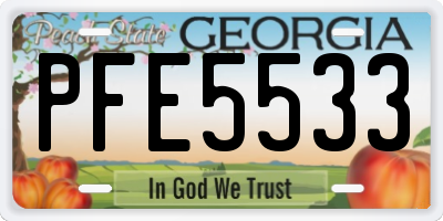 GA license plate PFE5533