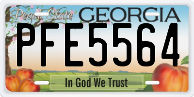 GA license plate PFE5564