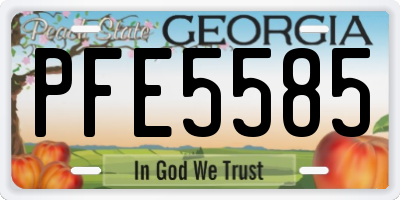 GA license plate PFE5585