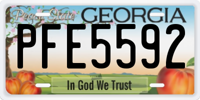 GA license plate PFE5592