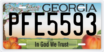 GA license plate PFE5593