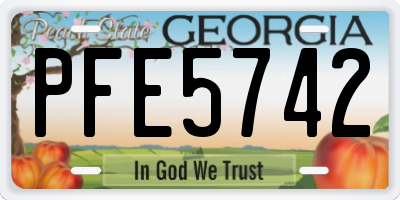 GA license plate PFE5742