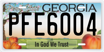 GA license plate PFE6004
