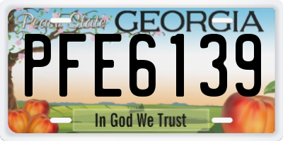 GA license plate PFE6139
