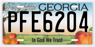 GA license plate PFE6204