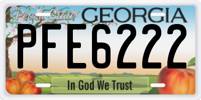 GA license plate PFE6222