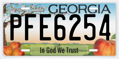 GA license plate PFE6254