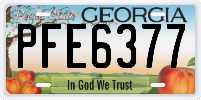 GA license plate PFE6377
