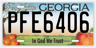 GA license plate PFE6406