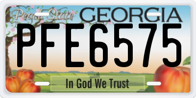 GA license plate PFE6575