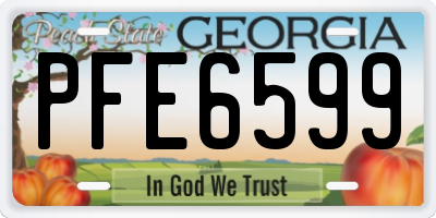 GA license plate PFE6599