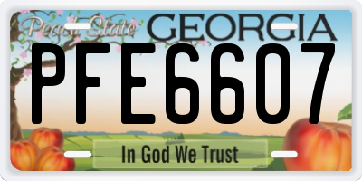 GA license plate PFE6607