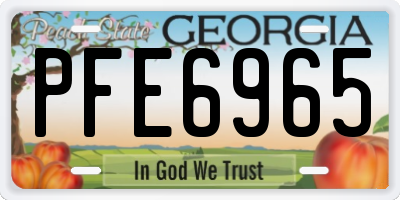 GA license plate PFE6965