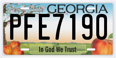 GA license plate PFE7190