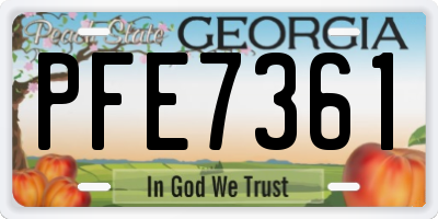 GA license plate PFE7361