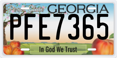 GA license plate PFE7365