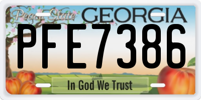 GA license plate PFE7386